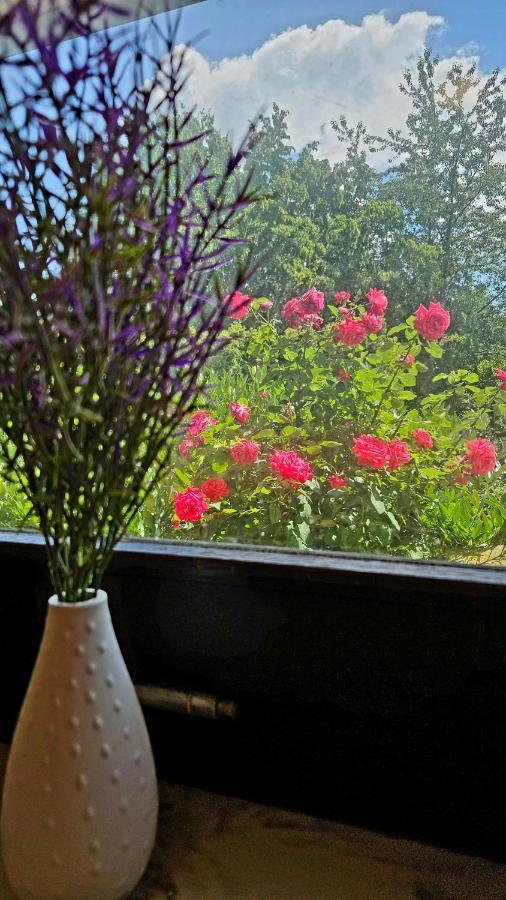 Ferienwohnung Rodder Maar Niederzissen Exteriér fotografie